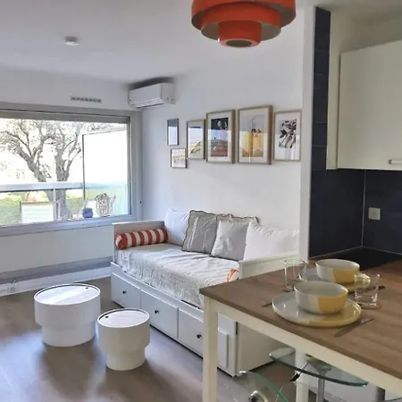 Escale En Mediterranee, Swimmingpool, Terrace,ac Apartment Antibes